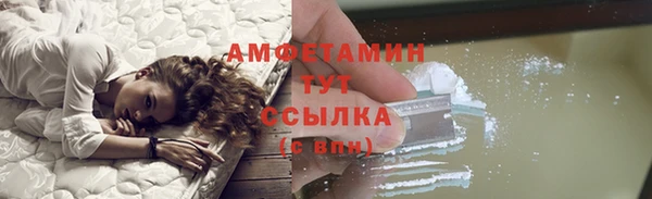 шишки Каменка