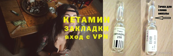 шишки Каменка