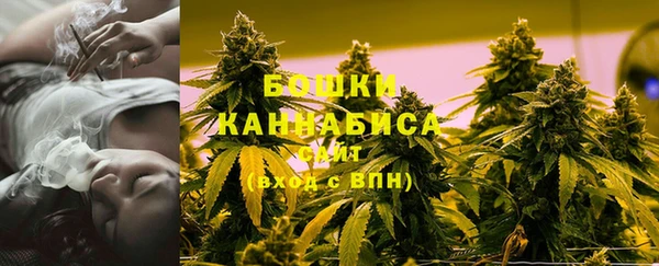 бутират Инсар