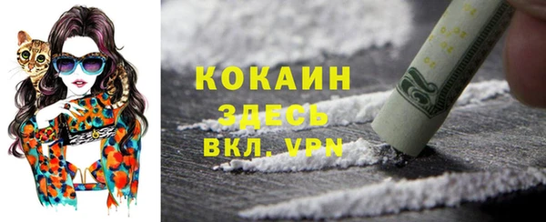 a pvp Инта