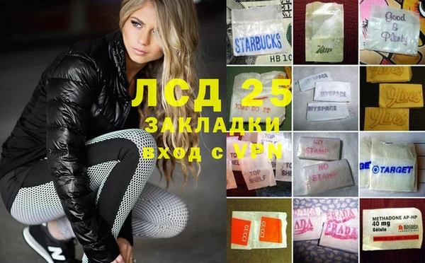a pvp Инта