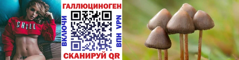 Псилоцибиновые грибы прущие грибы  Камешково 